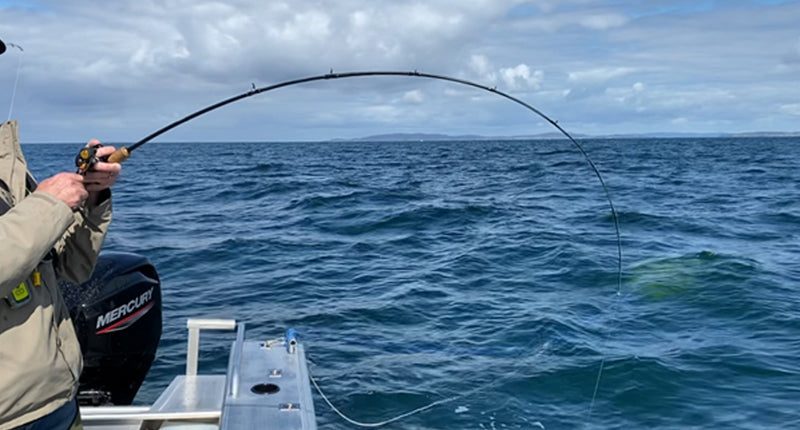 How to catch fish with Slider lures