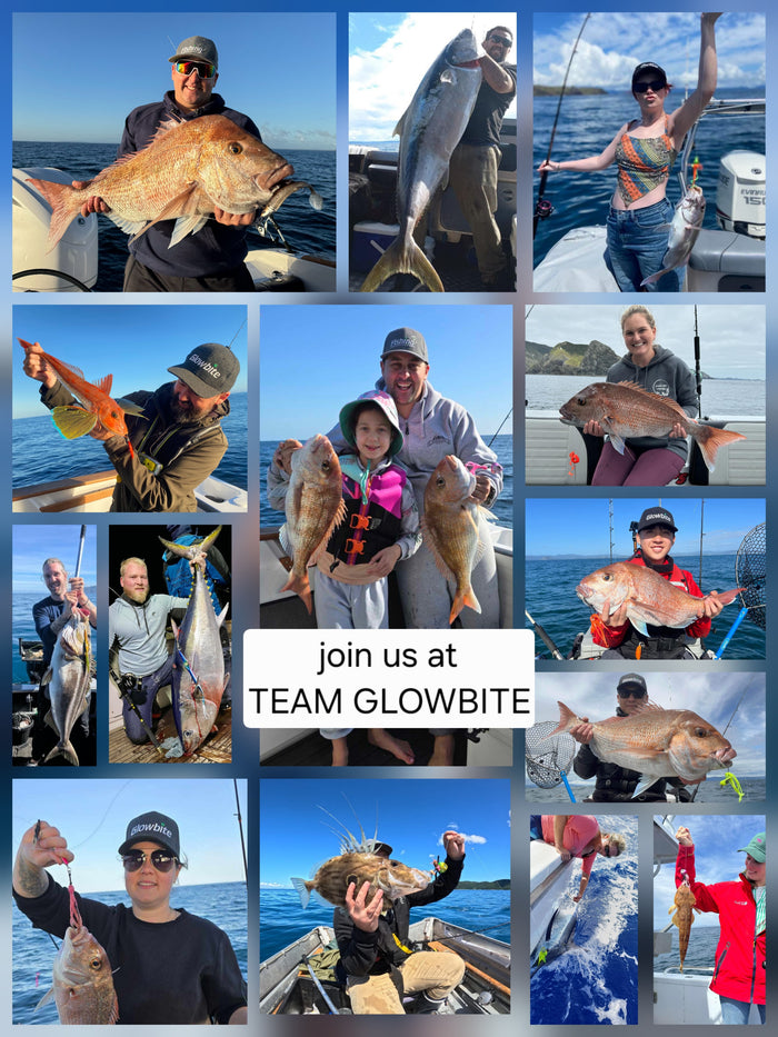 Team Glowbite Membership – Pay Annually