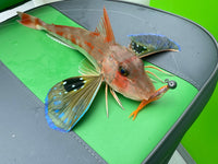 Glowbite Mighty Micro Bait - Micro Shad