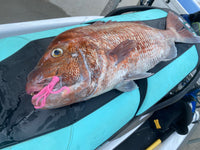 Glowbite SQUIDINATOR soft bait lures