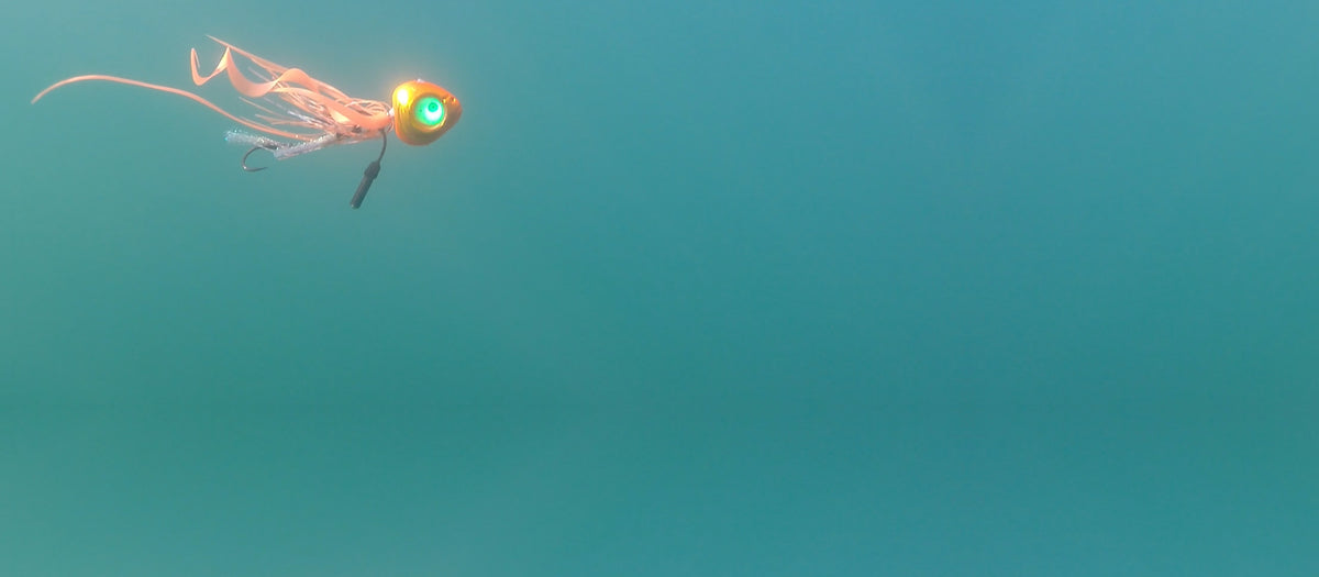 Image of grumpy fish lure